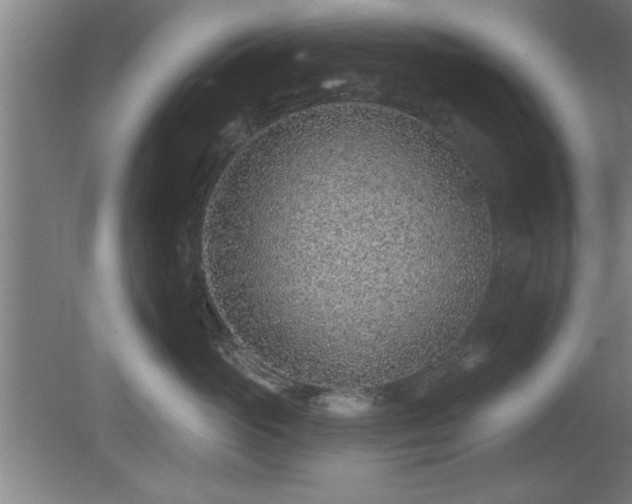 X0000080720765200612221227