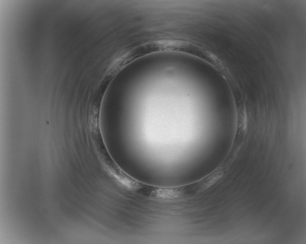 X0000080720766200612221227