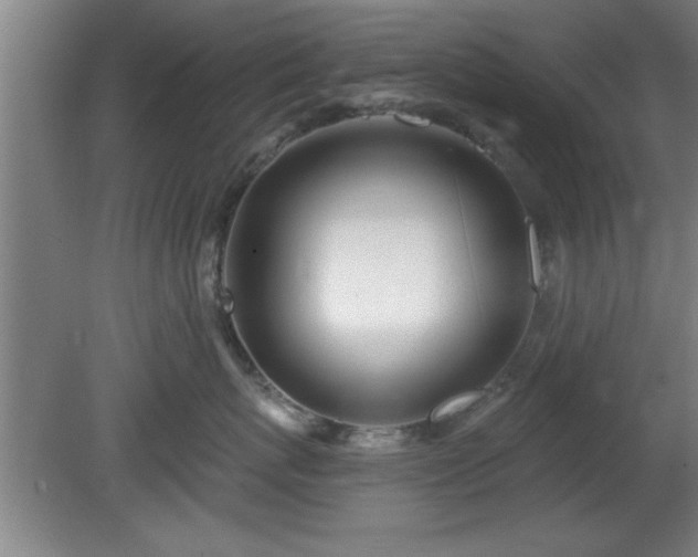 X0000080720767200612221227