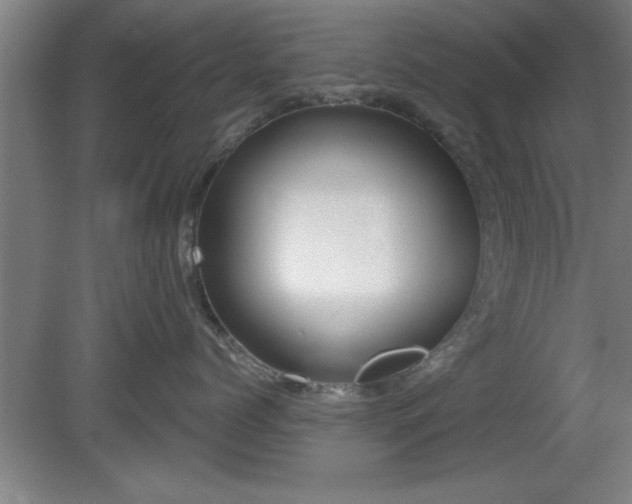 X0000080720768200612221227