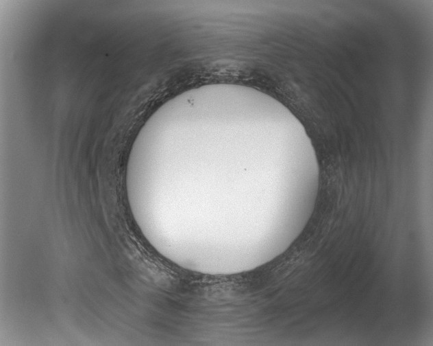 X0000080720769200612221226