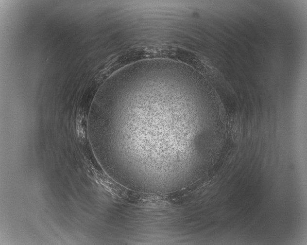 X0000080720770200612221226