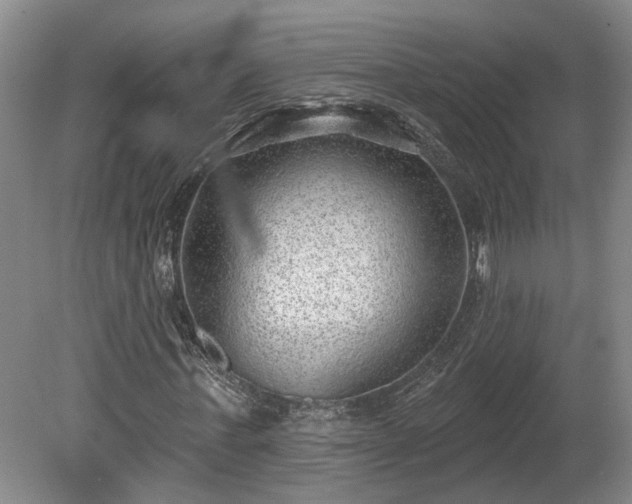 X0000080720771200612221226