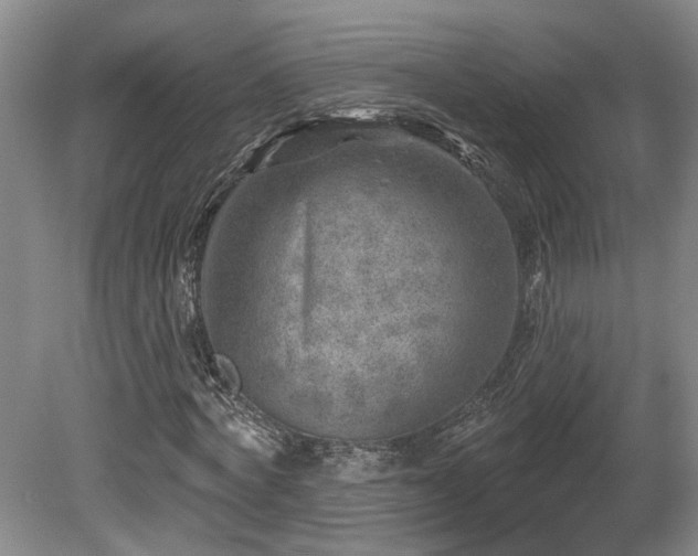 X0000080720772200612221226