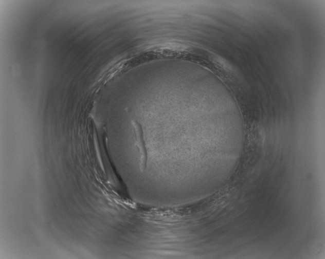 X0000080720774200612221226