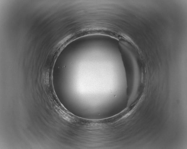 X0000080720777200612221226