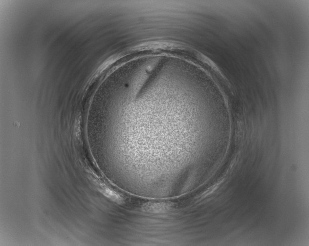 X0000080720778200612221226