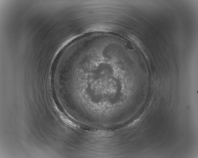 X0000080720779200612221226