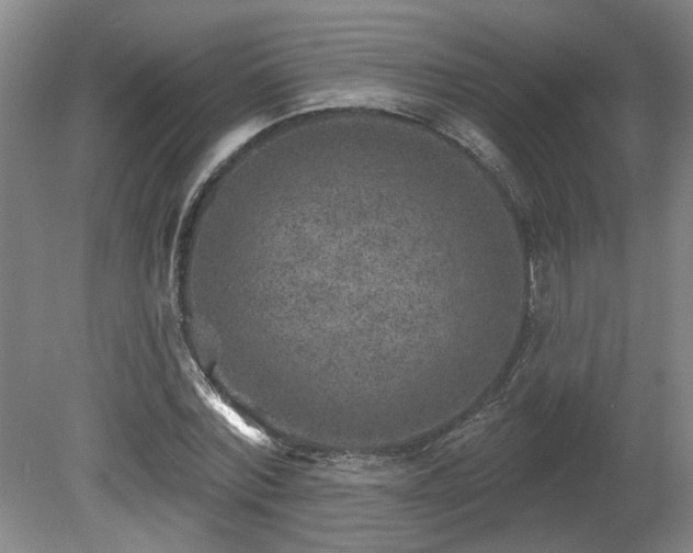 X0000080720780200612221226