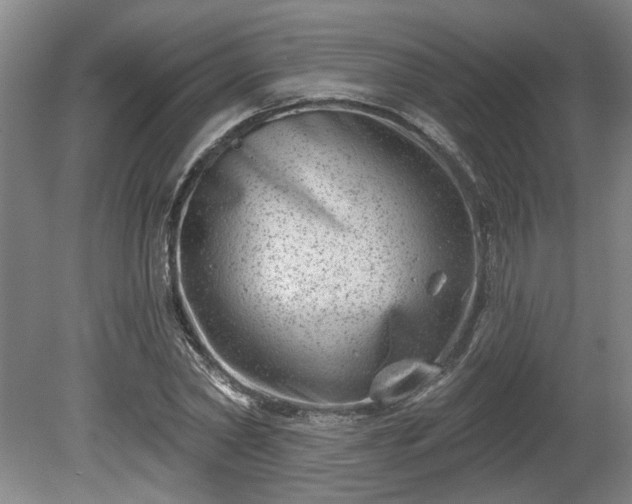 X0000080720782200612221226