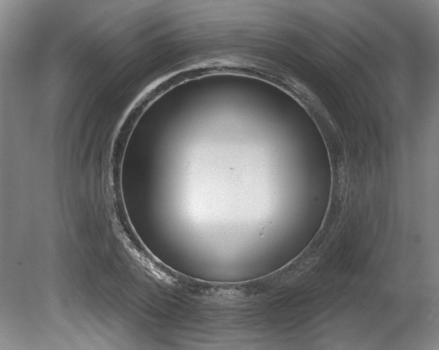 X0000080720784200612221226