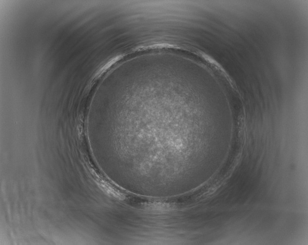 X0000080720785200612221226