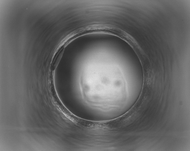 X0000080720786200612221226