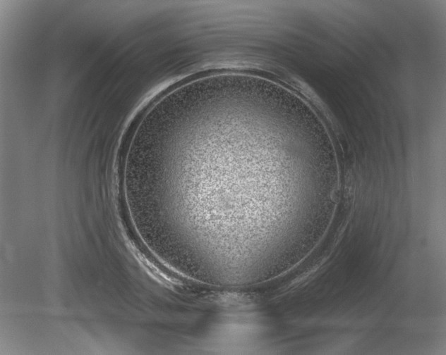 X0000080720787200612221226