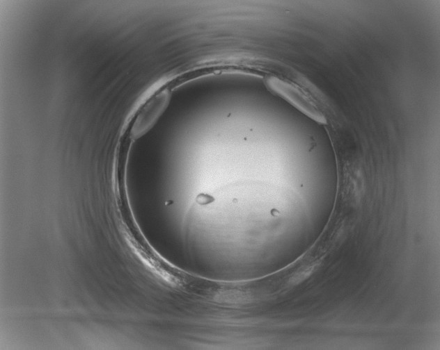 X0000080720788200612221226