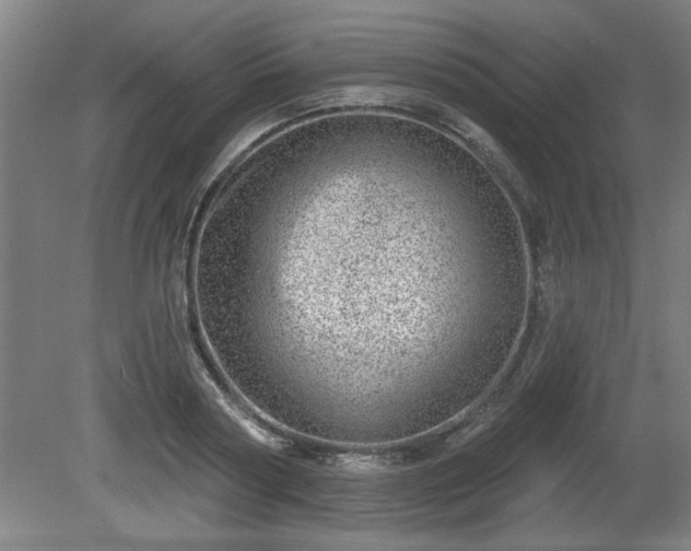 X0000080720794200612221226