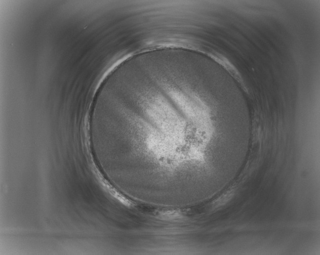 X0000080720798200612221226