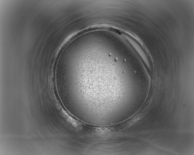 X0000080720799200612221226