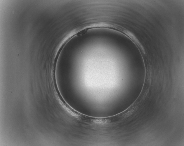 X0000080720805200612221225