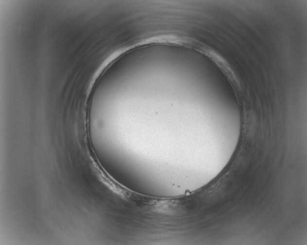 X0000080720808200612221225