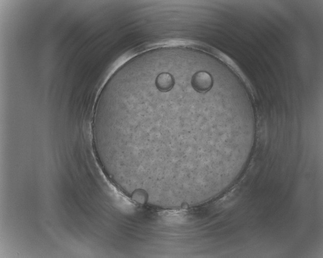 X0000080720810200612221225