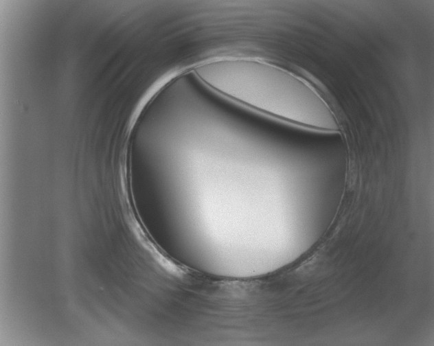 X0000080720812200612221225