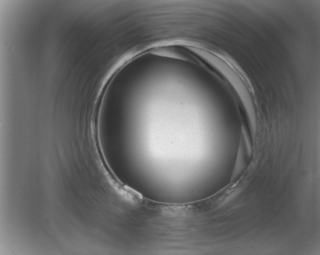 X0000080720813200612221225