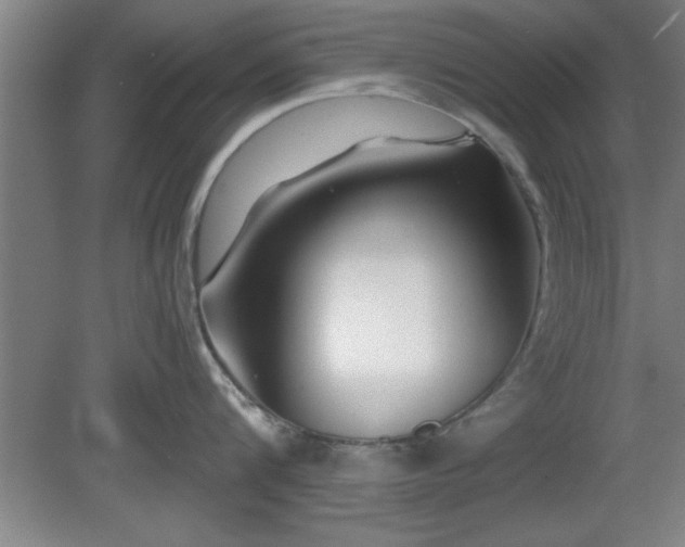 X0000080720816200612221225