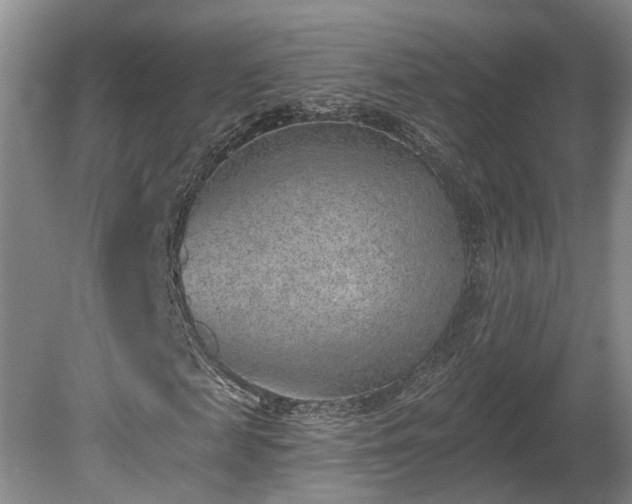 X0000080720817200612221224