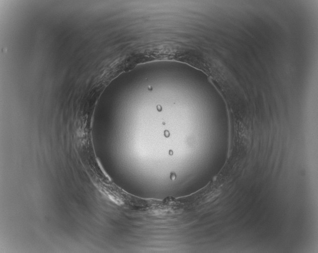 X0000080720818200612221225