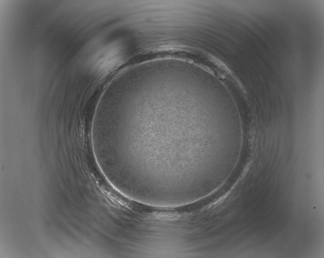 X0000080720825200612221225