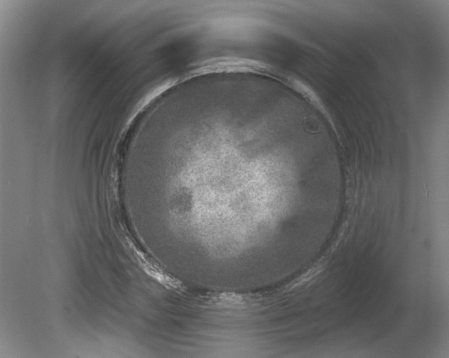 X0000080720827200612221225