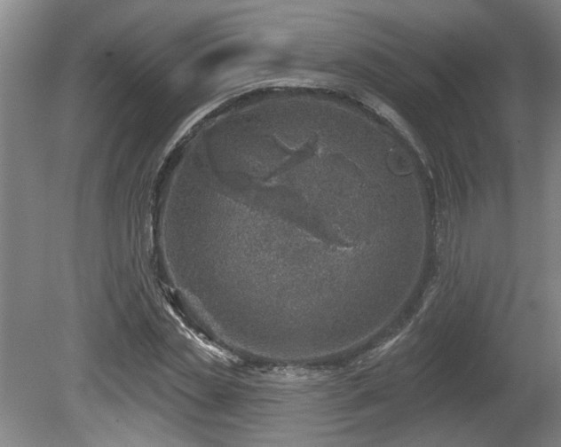 X0000080720829200612221225