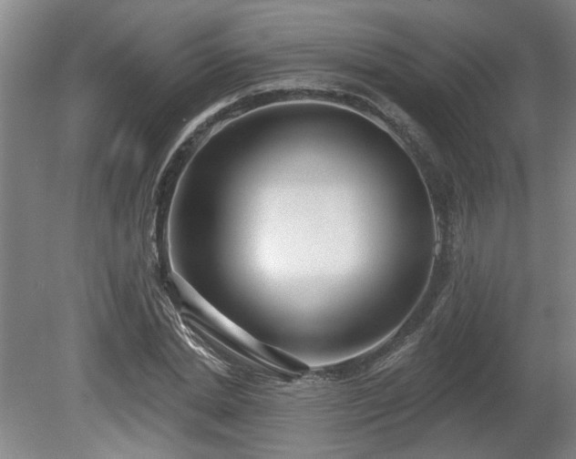 X0000080720830200612221225