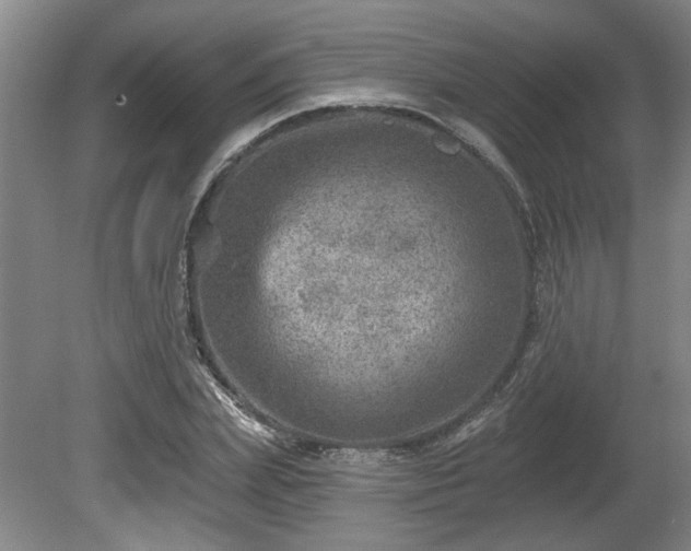 X0000080720831200612221225