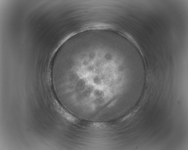 X0000080720835200612221225