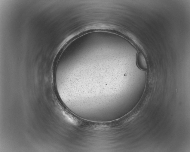 X0000080720837200612221225