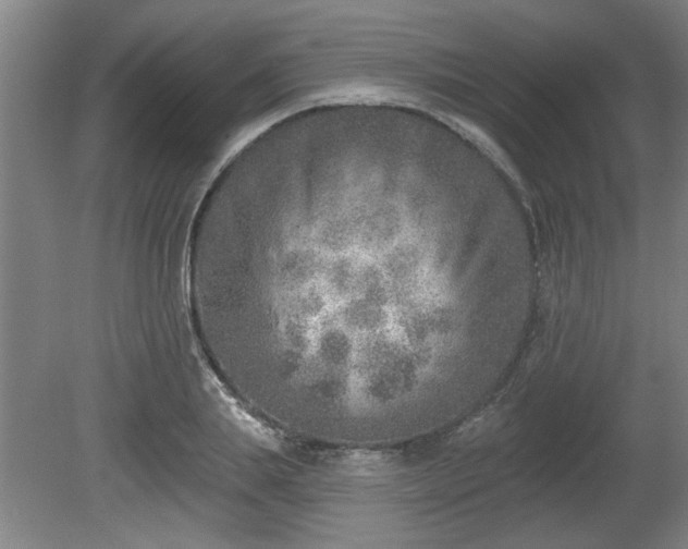 X0000080720839200612221225