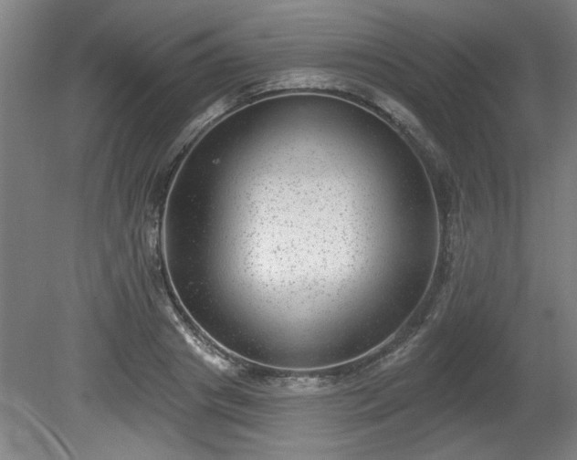 X0000080720841200612221225