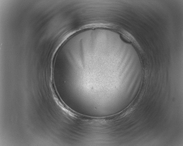 X0000080720844200612221225