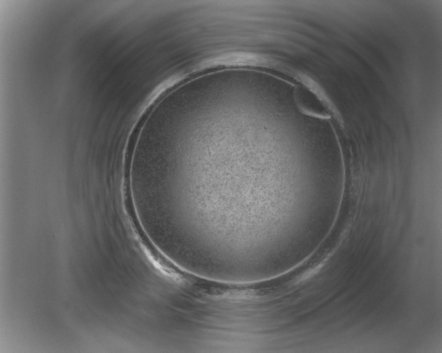 X0000080720845200612221225