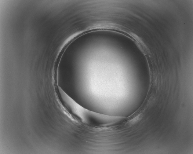 X0000080720846200612221225