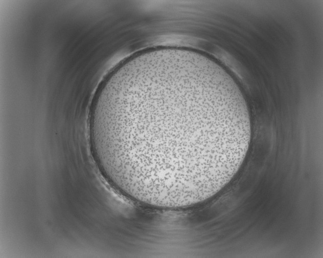 X0000080720848200612221225