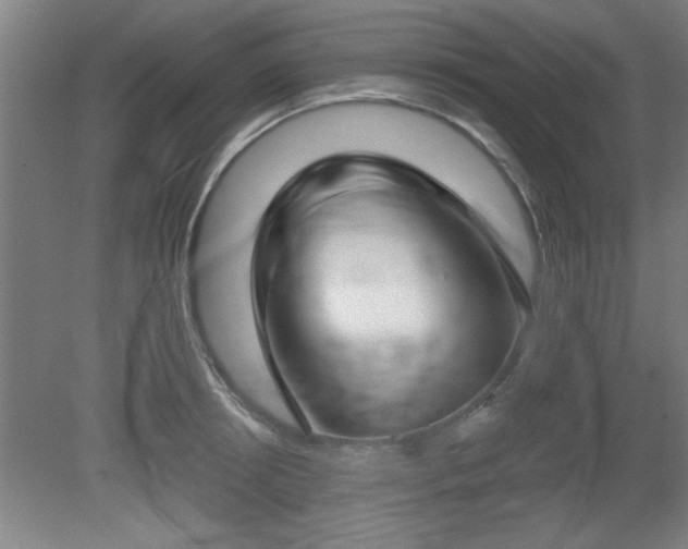 X0000080720850200612221225