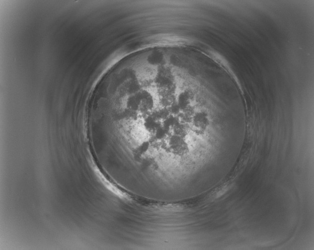 X0000080720851200612221225