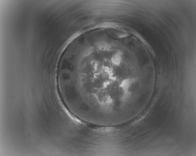 X0000080720853200612221225