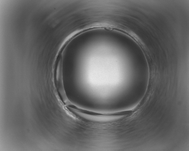 X0000080720854200612221225