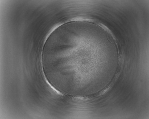 X0000080720855200612221225