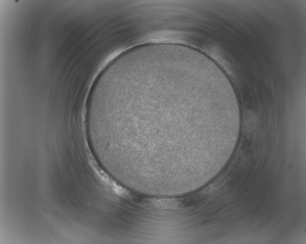 X0000080720856200612221225