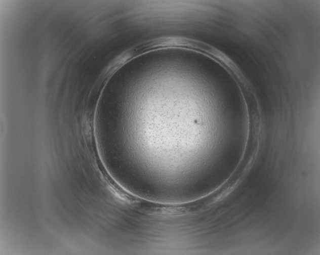 X0000080720857200612221225